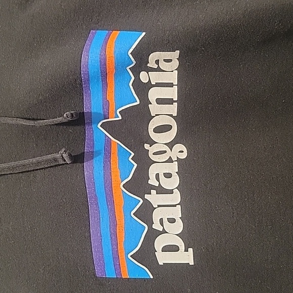 Patagonia Logo Hoodie! Good Used Condition! Size Medium. - Picture 2 of 5